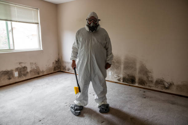 Mold Remediation for Vacation Homes in Glenside, PA